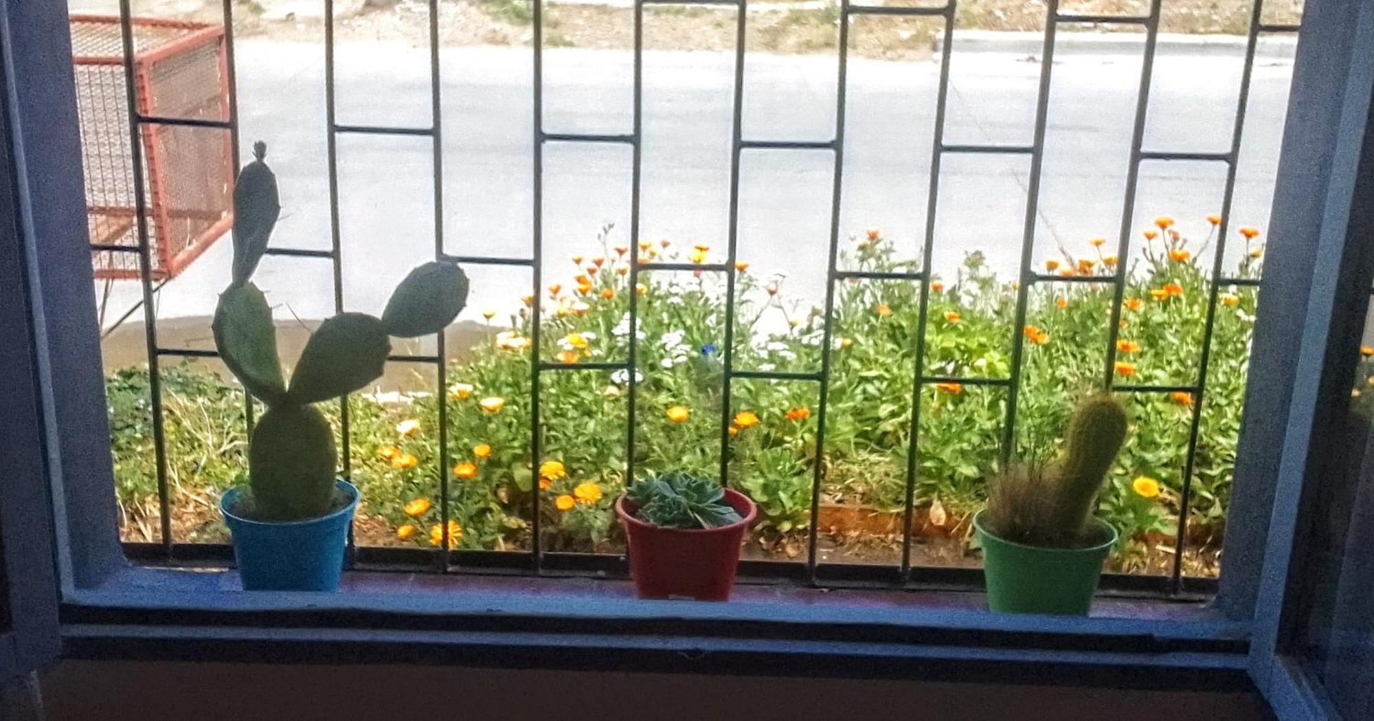 Apartamento Duraznillo 50 *