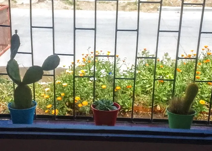 Duraznillo 50